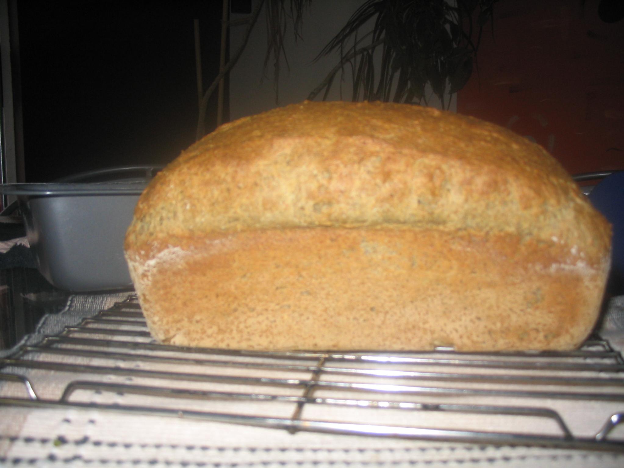  A hearty loaf of gluten free 5 grain bread straight out of the oven.