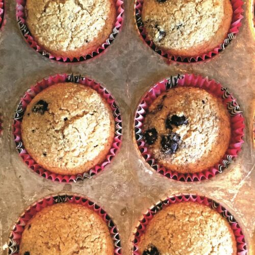 Blueberry Bran Muffins - Gluten Free