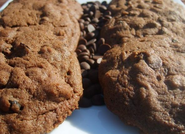  Chocolate and raisins and biscuits, oh my! The perfect trifecta.