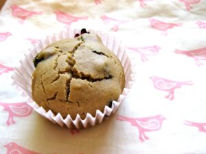 Gluten Free Blueberry Muffins