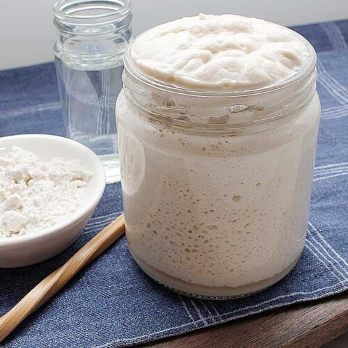 Gluten Free Brown Rice Sourdough Starter