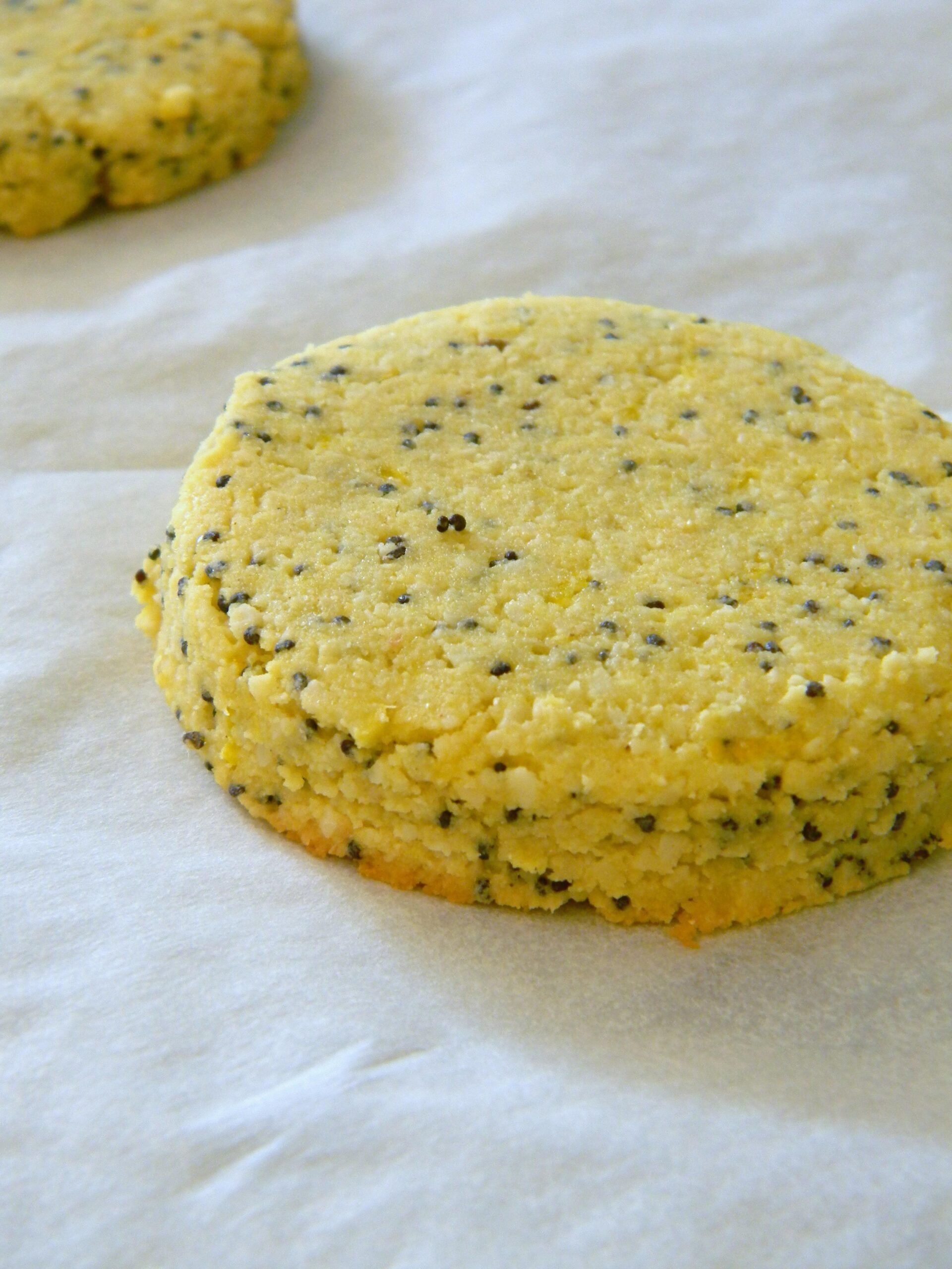 Gluten Free Lemon Poppy-Seed Cookies