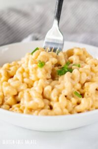 Gluten Free Macaroni and Cheese