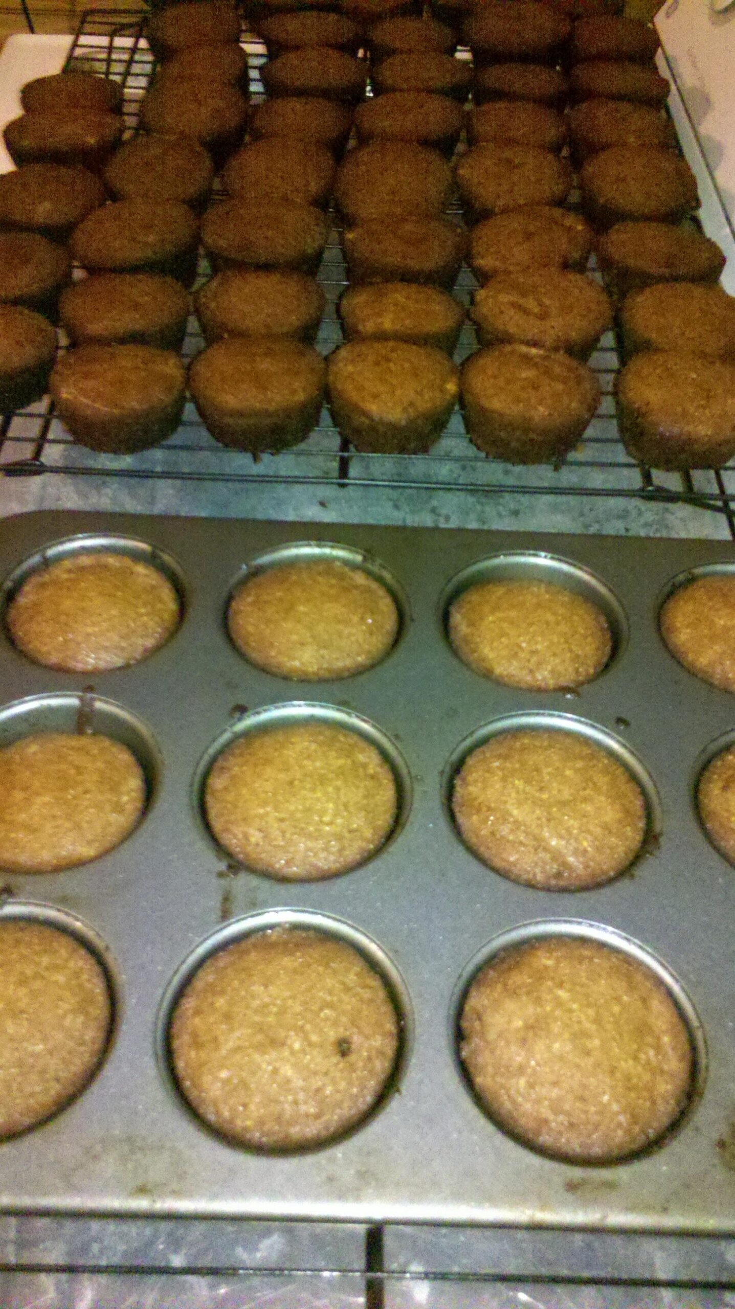 Gluten Free Triple Coconut Muffins Delicious and Healthy