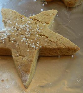 Gluten Free Vegan Gingerbread Cookies