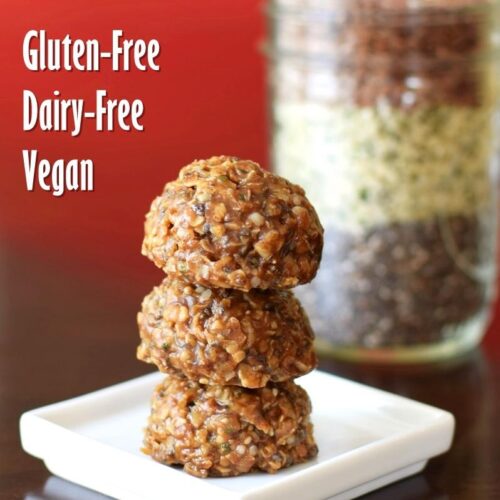Gluten Free Vegan Snack Cookies