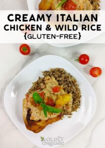 Italian Chicken and Rice (Gluten Free)
