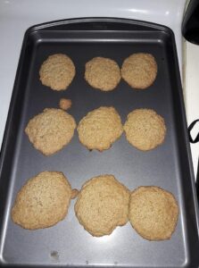 Oatmeal Cookies - Lactose Free Dairy Free Gluten Free