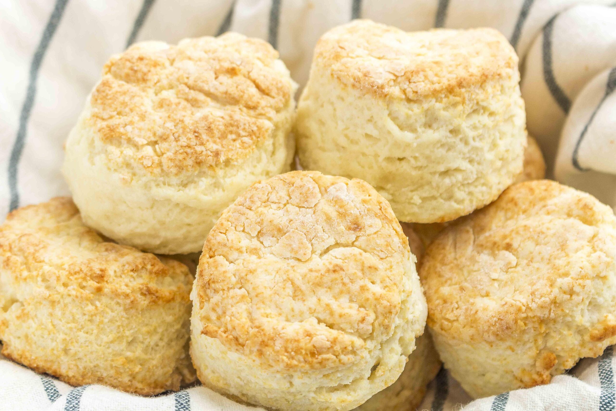 These gluten-free biscuits are light and tender, perfect for sandwiches or with a little bit of butter.