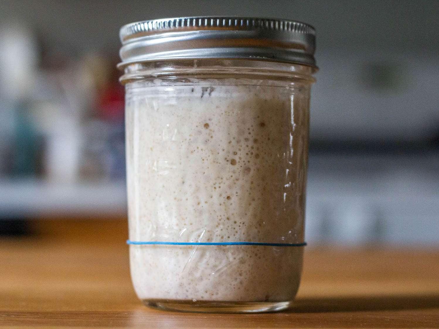  Unlock the full potential of your sourdough bread with this wheat starter.