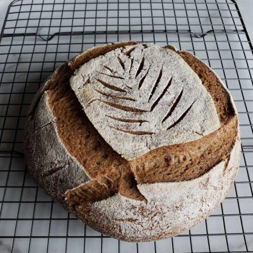  Welcome to my tutorial on how to make gluten-free brown rice sourdough starter!